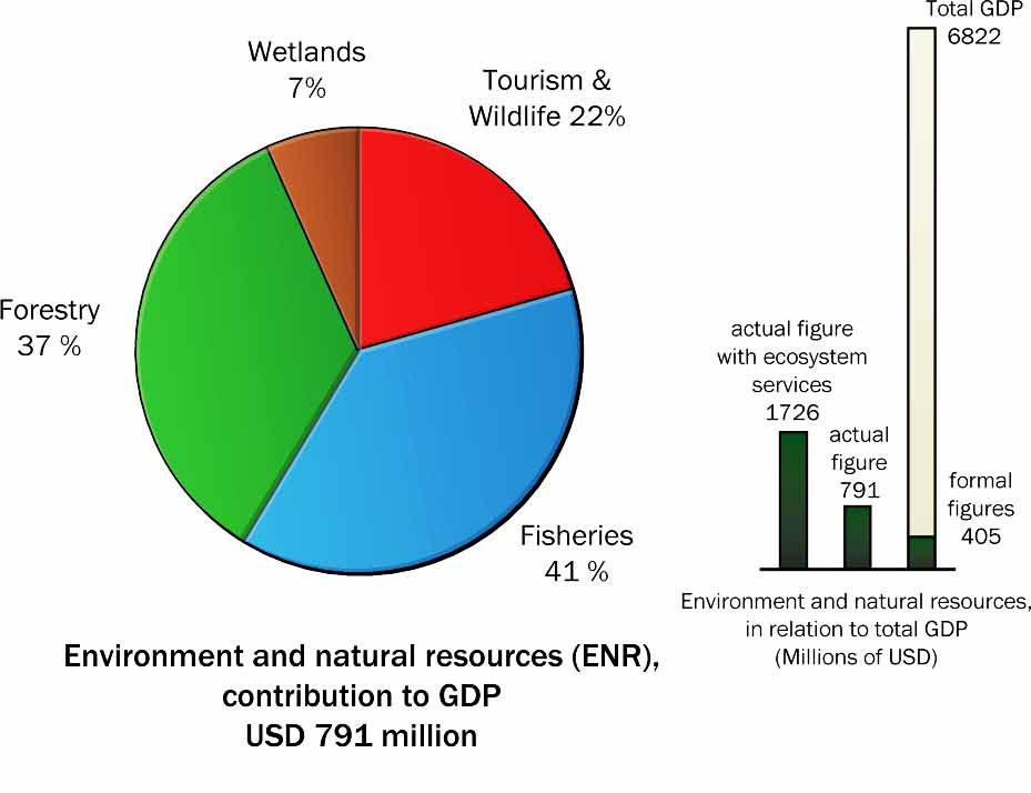 graphical representation of natural resources