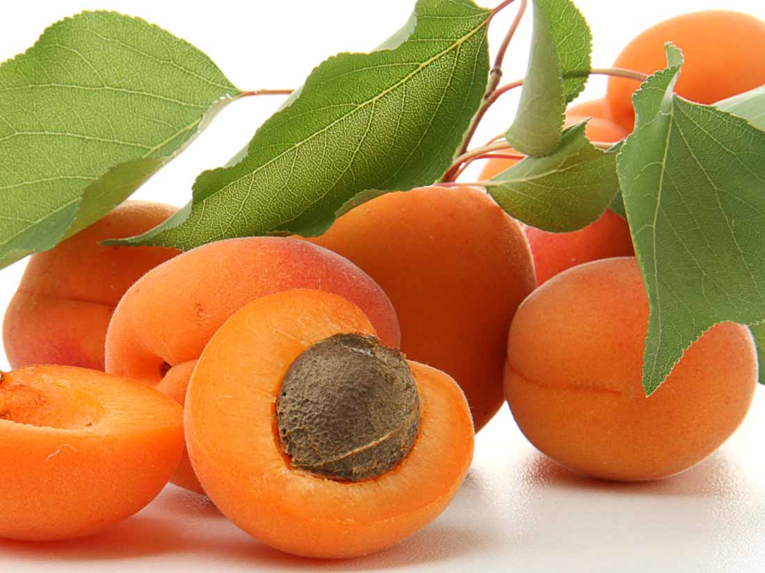 Top 10 Apricot Producing Countries in the World 2023