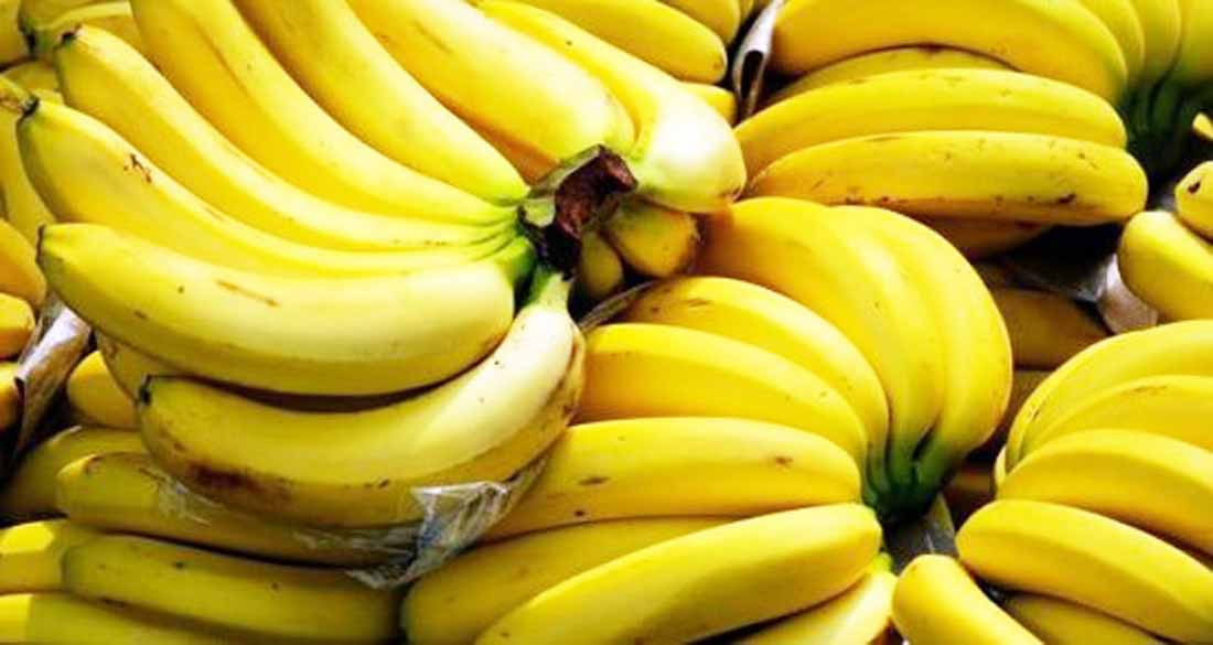 Top 10 Banana Producing Countries in the World