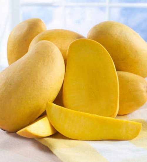 Top 10 Mango Producing Countries in the World