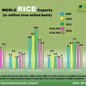 Top 10 Rice Producing Countries In The World - The Countries Of