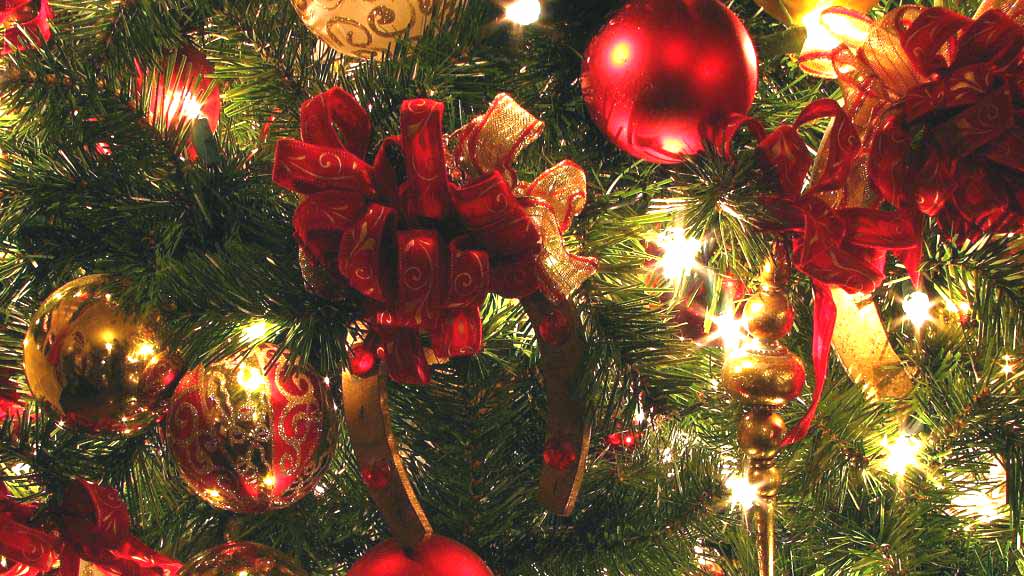Top 10 Christmas Tree Decorating Ideas Ever 2024