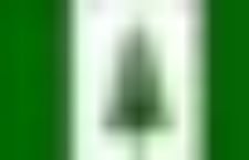 Norfolk Island flag