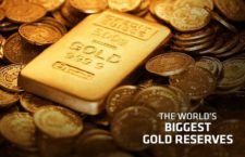 33242550-SS_world_gold_holdings_2010_cvr.600×400