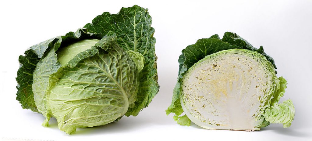 Cabbage  are helpful in weight loss