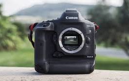 best-cameras-for-beginners