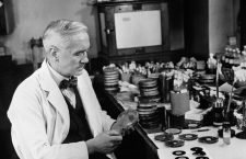 alexander-fleming-biography