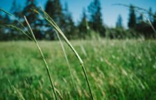 8198ae2c-6374-35bd-bedf-bddac619b381