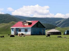 Things to See in Mongolia