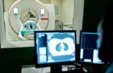 istockphoto-1311077557-612×612-1