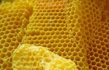 beeswax