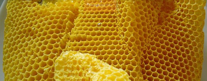 beeswax