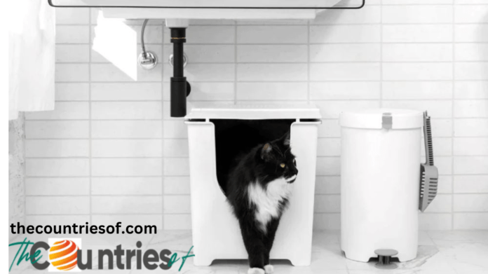 top entry cats litter box