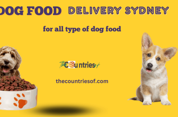 dog food delivery