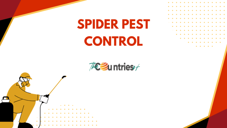 Effective Spider Pest Control for a Pest-Free Environment