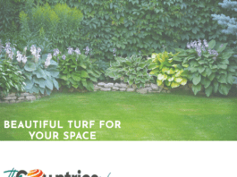 artificial Turf supply