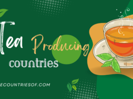 largest tea producing countries