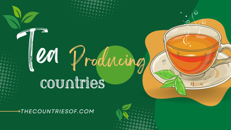 Top 10 Largest Tea Producing Countries in the World 2023
